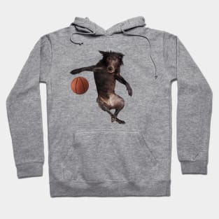 Dog Meme: Dog playing basketball Hoodie